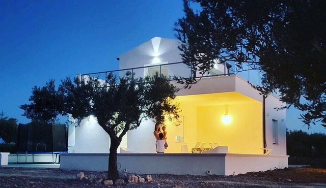 Villa surrounded by a garden of olive trees