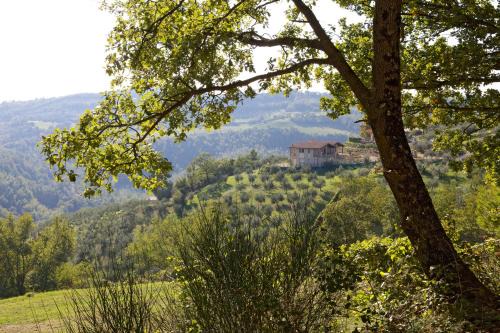 Villa Tilla