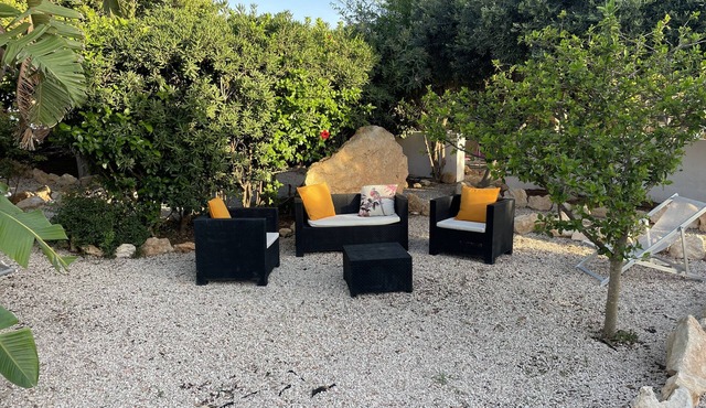 Villa turtle