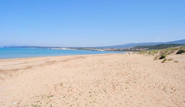 Villa under pine trees by the sea