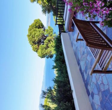 Villa villaeri