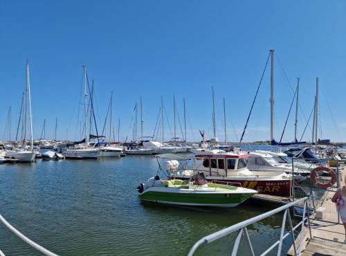 Villa Violand Camping