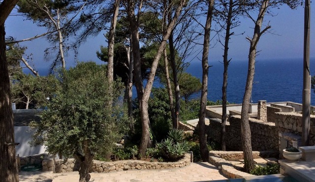 Villa vith private pool facing the sea