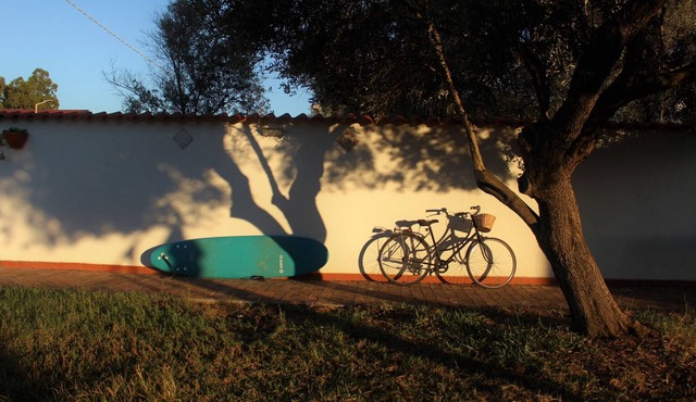 Villa with large garden 100 meters from the sea! Pets allowed, cooking classes and .
