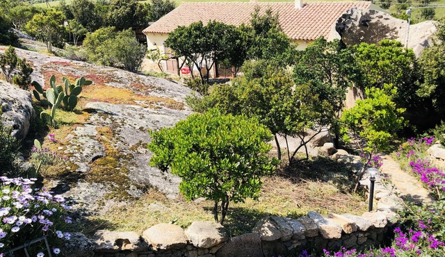 Villa with panoramic pool surrounded by greenery