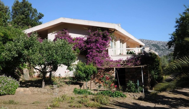 Villa with panoramic terrace in the countryside of Dorgali, Casa Lucandre IUNP2176