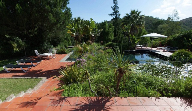 Villa with Garden Oasis in Monchique