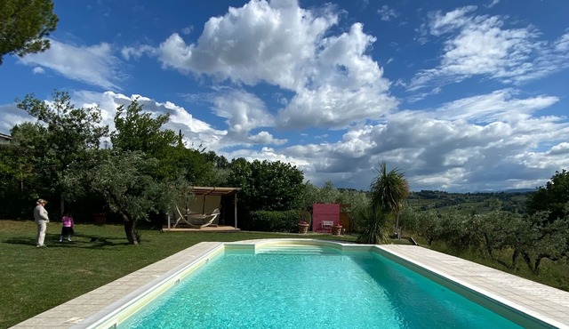 Villa with swimming pool among olive groves and vineyards