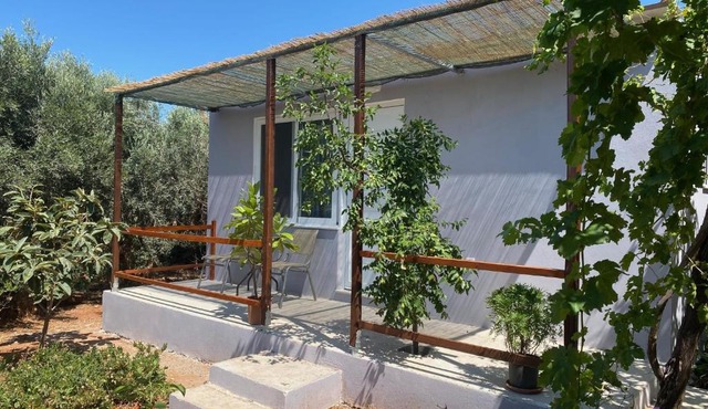 Vine Veranda