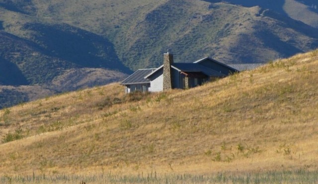 Vineyard and Mountain Views