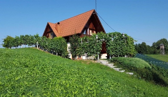 Vineyard cottage Berus