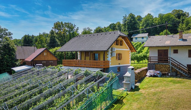 Vineyard Cottage Stepan, Črnomelj, Slovenia