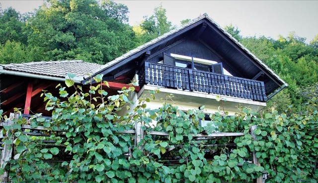 Vineyard Cottage Zajc