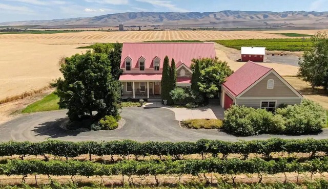 Vineyard Estate-Mountain views-Private; minutes to downtown. Pet friendly