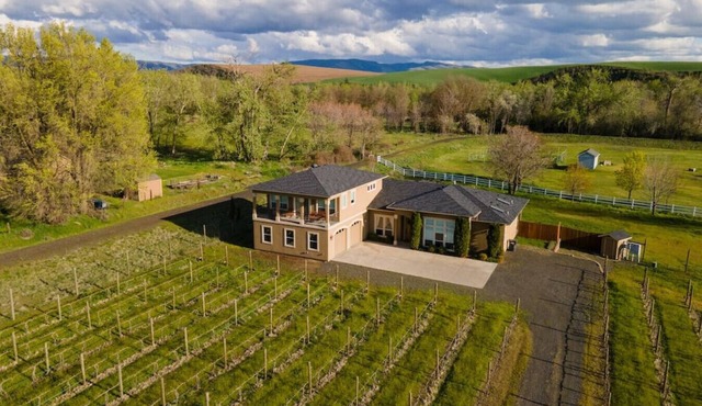 Vineyard View Estate · Vineyard View Estate