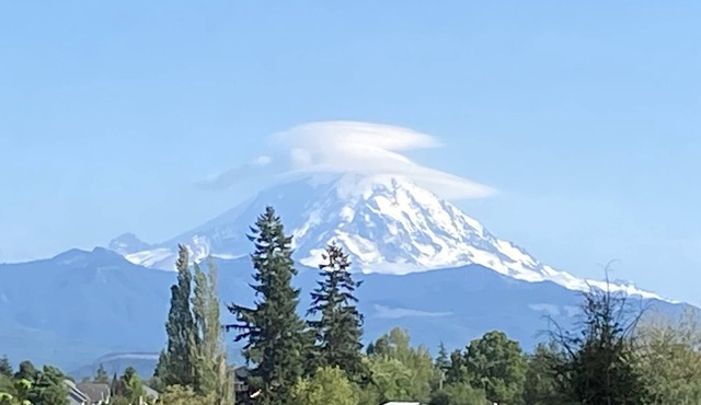 Vintage Sunline Trailer with View of Mt Rainier, 1hr from Mt Rainier