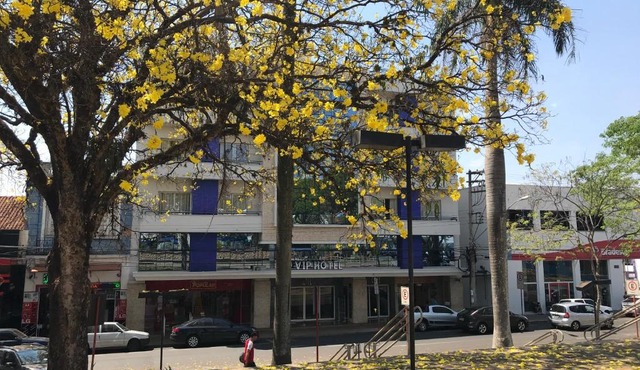 Vip Hotel