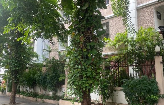 Viriyapon