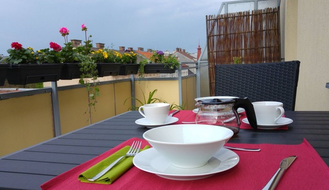 Visit Vienna - Bright Roof Terrace Apartment