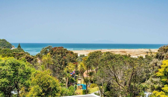Vitamin Sea - Quirky holiday home in bush setting with views, walk to the estuary and surf beach