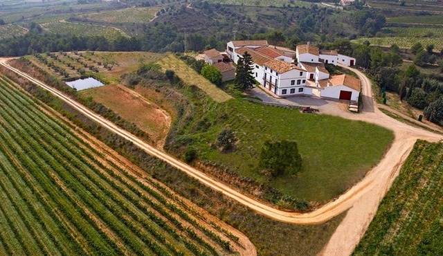 Viticulture and Wine-Tasting 3-Hour Trip from Barcelona