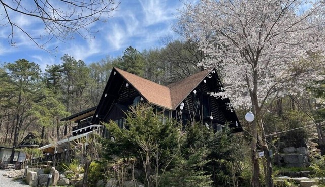 Vivaldi house