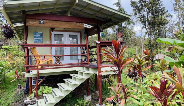 Volcano Off the Grid Eco Cabin Retreat in the heart of the tropical raiforest.