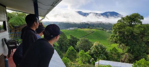 Volcano Panoramic Views