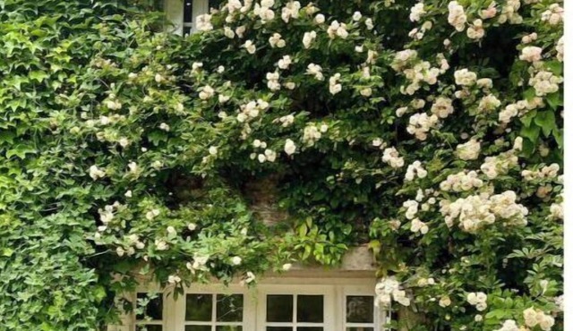 Vraie Belle Maison de Campagne à 1h de Paris !