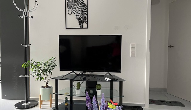 Vrbo Property