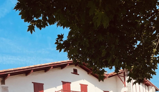 Vrbo Property