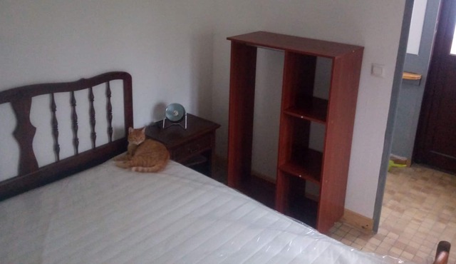 Vrbo Property
