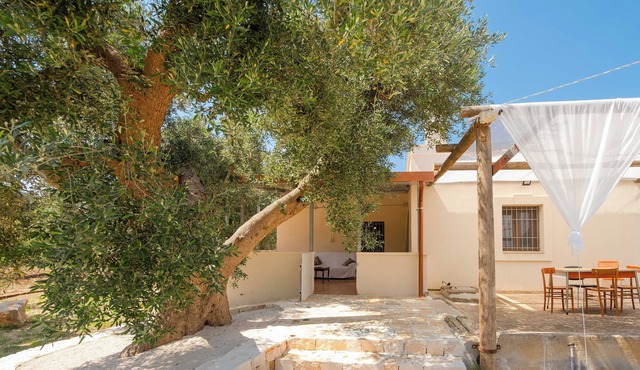 Vrbo Property