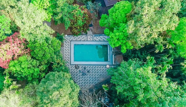 Vythiri Wild Forest Resort