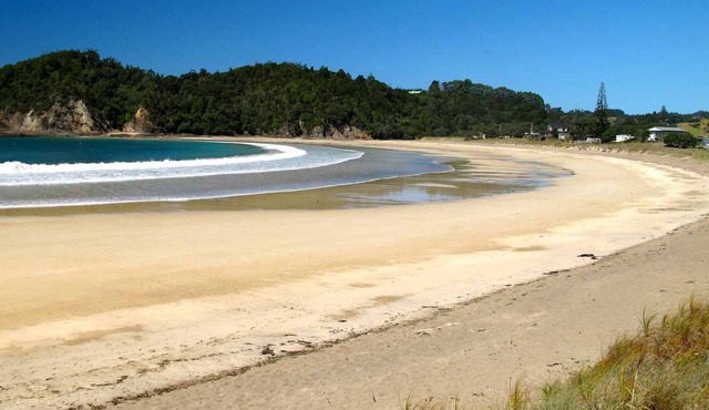 Waiotoi NZ - The Bush Hideaway