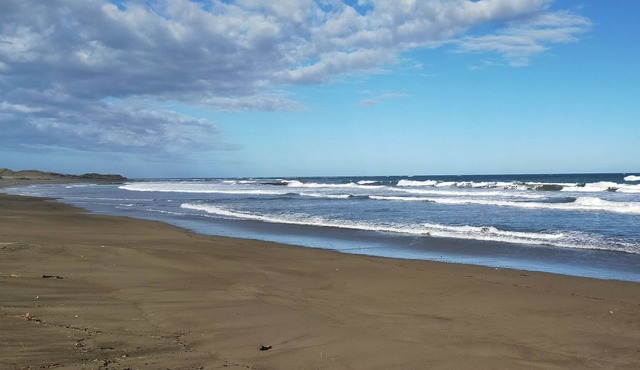 Wairarapa Coastal NZ Cottage with beach access