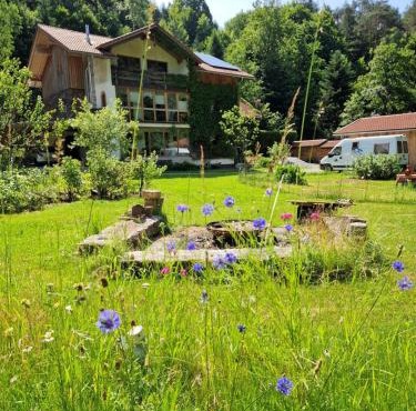 Waldbach-Oase