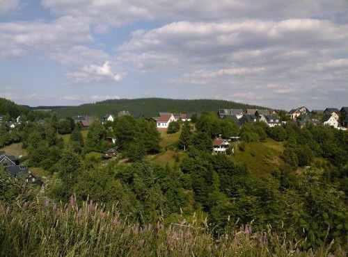 Waldblick