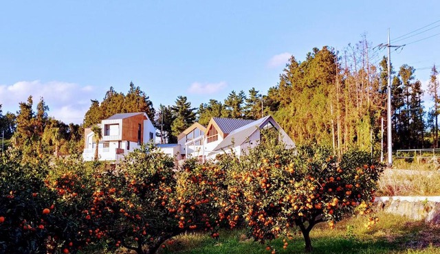 Walden Studios
