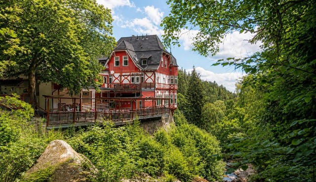 Waldgasthaus & Berghotel Steinerne Renne