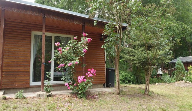 Waldhaus Halvor
