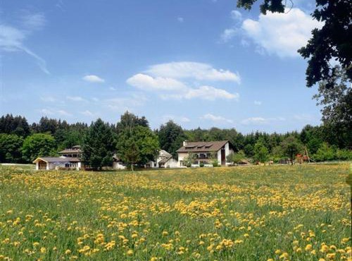 Waldhotel Geländer