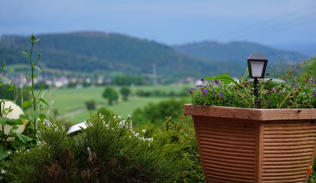 Waldhotel Weitblick