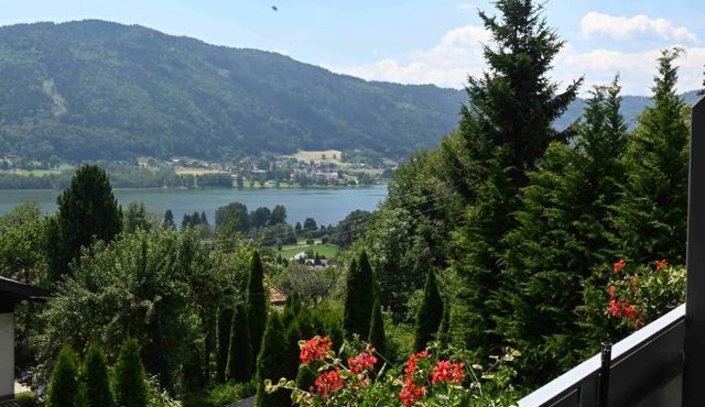 Waldvilla BERGSEE