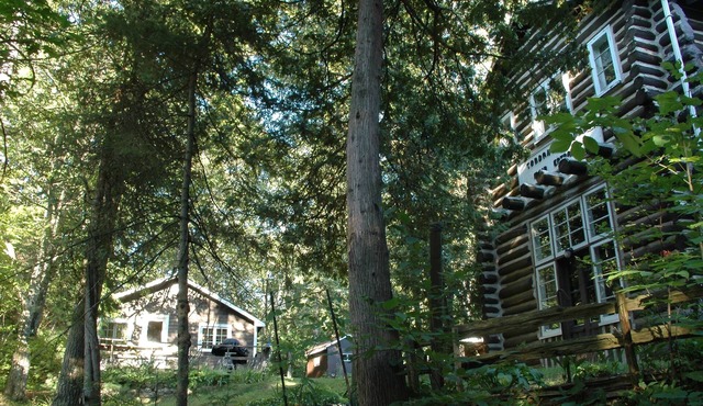walk to private beach across the street -2BR Cozy Forest Cabin -amazing sunsets