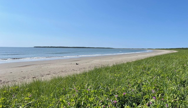 Walking distance to the ocean and all amenities!