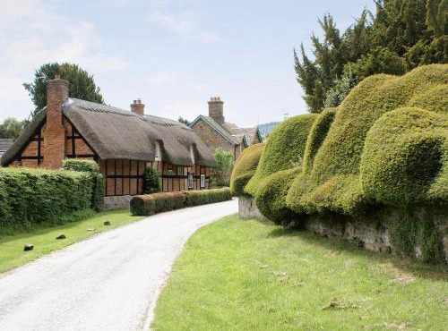 Walnut Tree Cottage