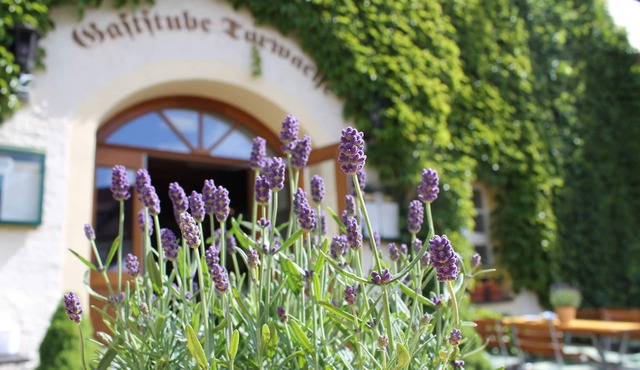 Wasserschloss Klaffenbach Schlosshotel