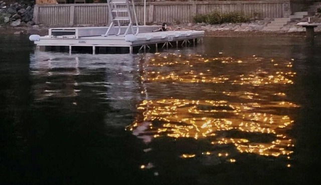 Water's Edge - Waterfront - Shuswap Vacations & Sledding Accommodation