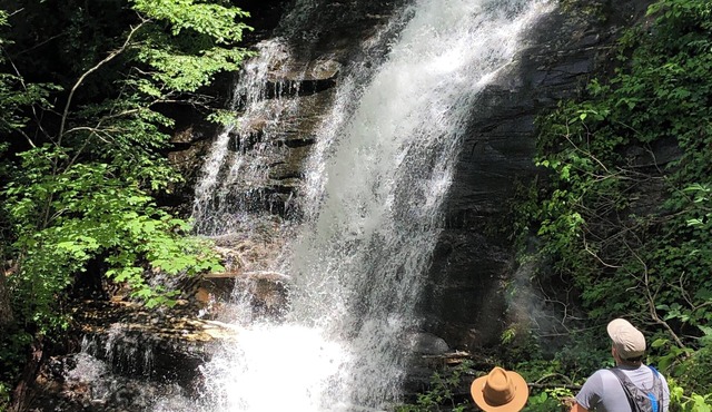 Waterfall Overlook at Bearfoot Falls~Privately owned waterfall,hiking trail 10ac